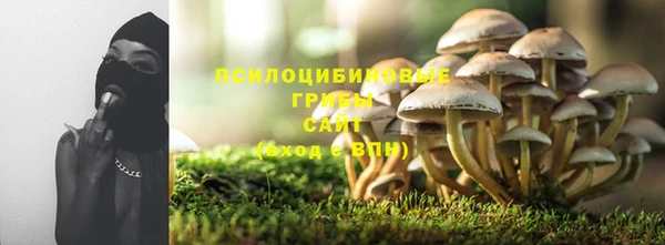 не бодяженный Гусев