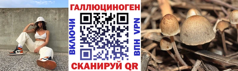 Галлюциногенные грибы Magic Shrooms  Купить где  Нижневартовск 